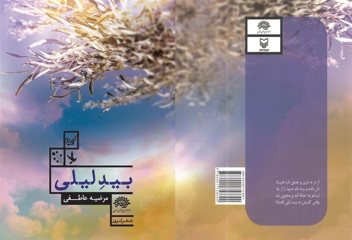 «بید لیلی»
