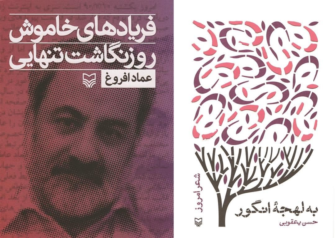 نظر دکتر عماد افروغ دربارۀ کتاب «به لهجۀ انگور» سروده دکتر حسن یعقوبی